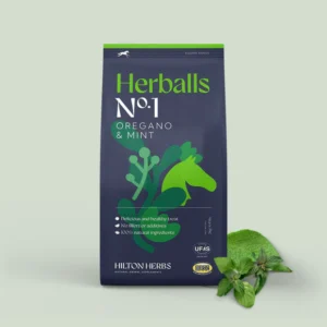 HERBALLS OREGANO E MINT 2KG.