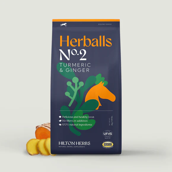 biscotti curcuma e zenzero