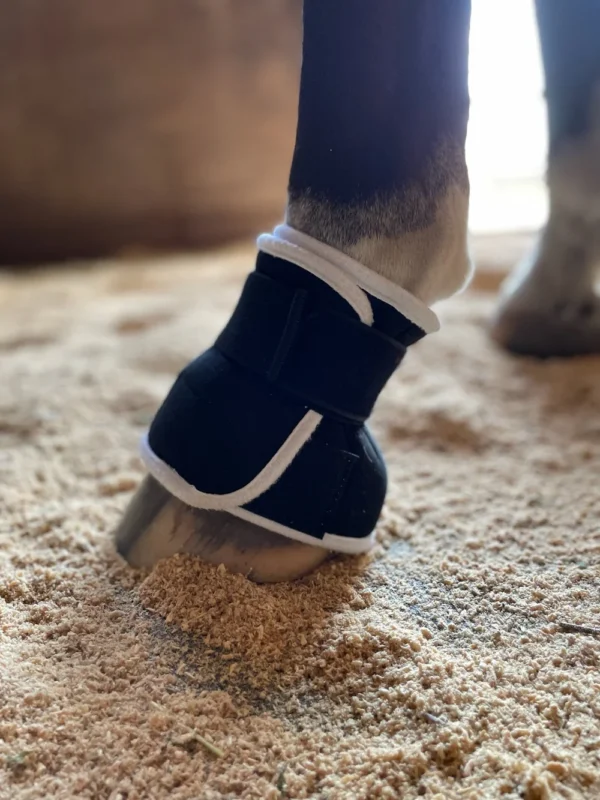 SHORTY BANDAGE